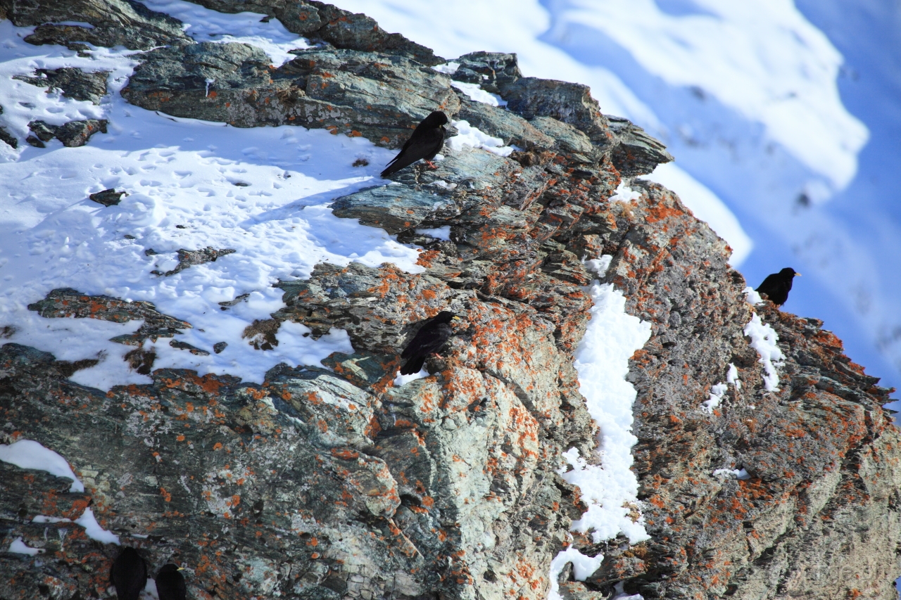 EOS 5D Mark II15_01_20120243.JPG